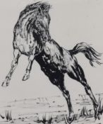 Artist Unknown (20th Century), pen and ink, A rearing horse, framed, mounted, and under glass,