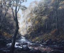 Sheila Ball (20th Century, British), oil on canvas, 'Tranquility', a woodland river scene, signed to