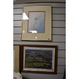 A framed photographic print of a birdseye view of Lancaster and a contemporary butterfly print