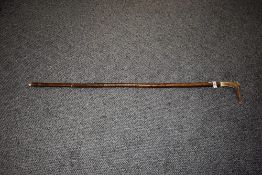 A Hazel walking cane, having horn handle.