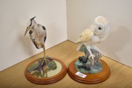 Two Border Fine Arts ornithological studies, comprising 'Barn Owl & Barmbles' 484458, 22cm