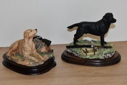 Two Border Fine Arts animal studies, Golden Labrador gun dog, modelled by Anne Wall c 1978, and
