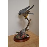 A Border Fine Arts ornithological study 'Flying Peregrine' A1276, modelled by Russell Willis for the