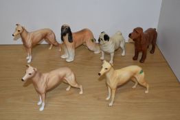 A group of six Beswick Pottery mid-sized dog studies, comprising three Greyhounds 'Champion Jovial