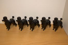 A group of five Beswick Pottery dog studies 'Poodle' number 2239, in black gloss, designed by Graham