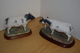 A Border Fine Arts farm animal group 'Belgian Blue Cow & Calf' A1252 from the Cattle Breeds