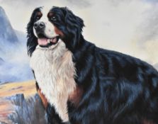 After Robert J. May (b.1951, British), coloured prints, Portraits of a Bernese Mountain dog, a St