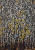 After Louise Jannetta (20th Century, British), print on giclee, 'Shimmering Birch', signed to the