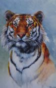 After Pamela Budge (20th Century, British), coloured print on giclee, 'Tiger', artist label verso,