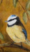 20th Century, oil painting, a miniature of a Blue Tit, framed, measuring 10cm x 13cm overall, and an
