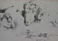 Artist Unknown (19th/20th Century), prints after sketches, Animal studies including deer, sheep, and