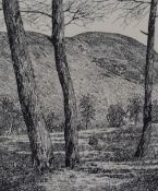 Alfred Wainwright (1907-1991), pen and ink, 'Grizedale', Lake District, signed