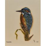20th Century School, acrylic, Two bird studies comprising 'Housemartin' & 'Kingfisher', signed DRC