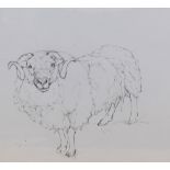 Dido Crosby MRSS (b.1961, British), pencil on paper, 'Orkney Ram, Rare Breed Center', signed,