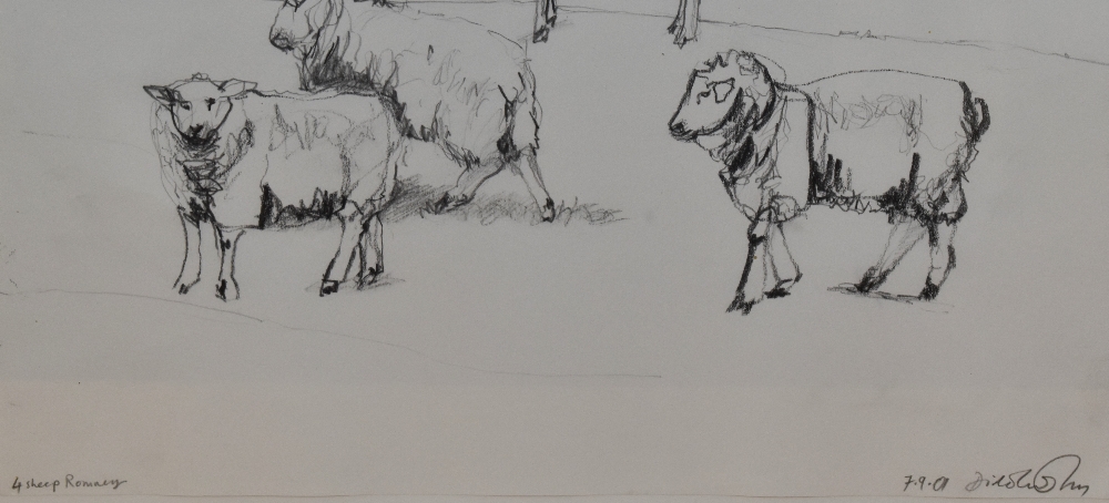 Dido Crosby MRSS (b.1961, British), pencil on paper, '4 Sheep Romney', signed and dated '7.9.01' - Image 3 of 4