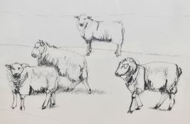 Dido Crosby MRSS (b.1961, British), pencil on paper, '4 Sheep Romney', signed and dated '7.9.01'