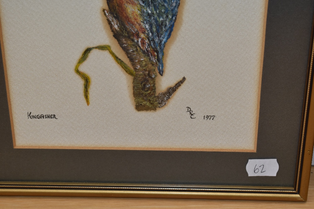 20th Century School, acrylic, Two bird studies comprising 'Housemartin' & 'Kingfisher', signed DRC - Image 4 of 5