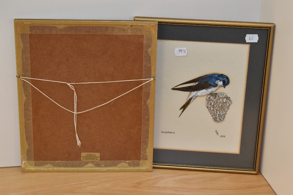 20th Century School, acrylic, Two bird studies comprising 'Housemartin' & 'Kingfisher', signed DRC - Image 5 of 5