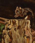 B.Standen (20th Century), oil on board, Two wildlife paintings of a grey squirrel and deer, signed