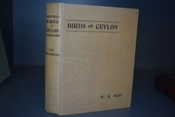 Natural History. Wait, W. E. - Manual of the Birds of Ceylon. Colombo/London: Dulau & Co. Ltd. 1925.