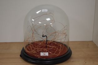 A contemporary fairy light arrangement under Victorian glass dome, measuring 27cm tall