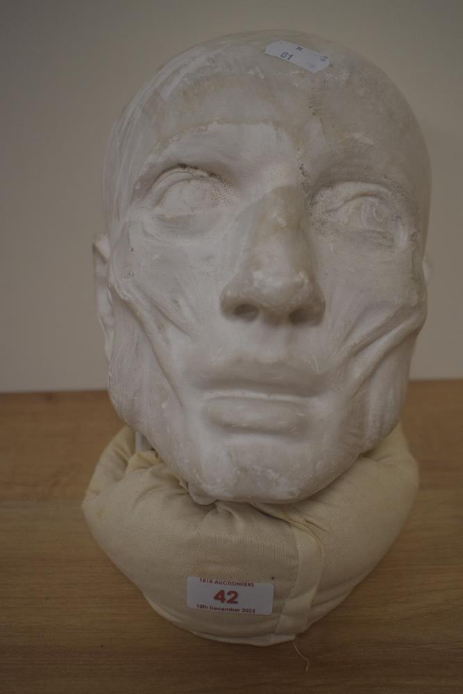 A 20th Century plaster head study of a man, measuring 25cm tall