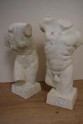 Two contemporary ceramic torso studies in the Classical style, the largest measures 43cm tall