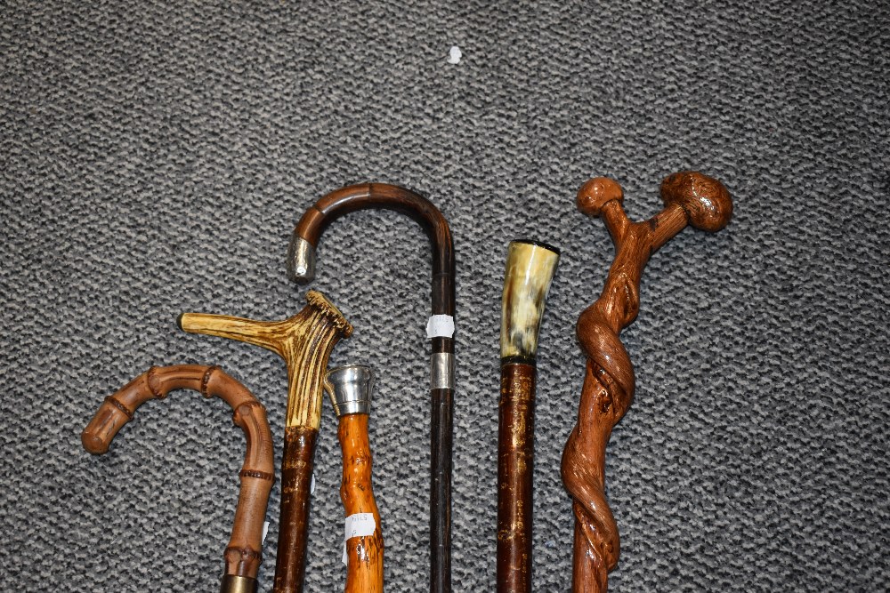 A collection of walking sticks and parasol, to include silver-mounted walking stick, horn handled - Image 2 of 3