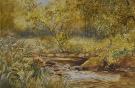 N.Howroyd (19th/20th Century), watercolour, A river within a woodland setting, signed and dated 1906