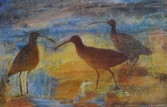 Fiona Clucas SWLA (20th Century, British), mixed media on paper, 'Curlew Feeding' & 'Redshank',