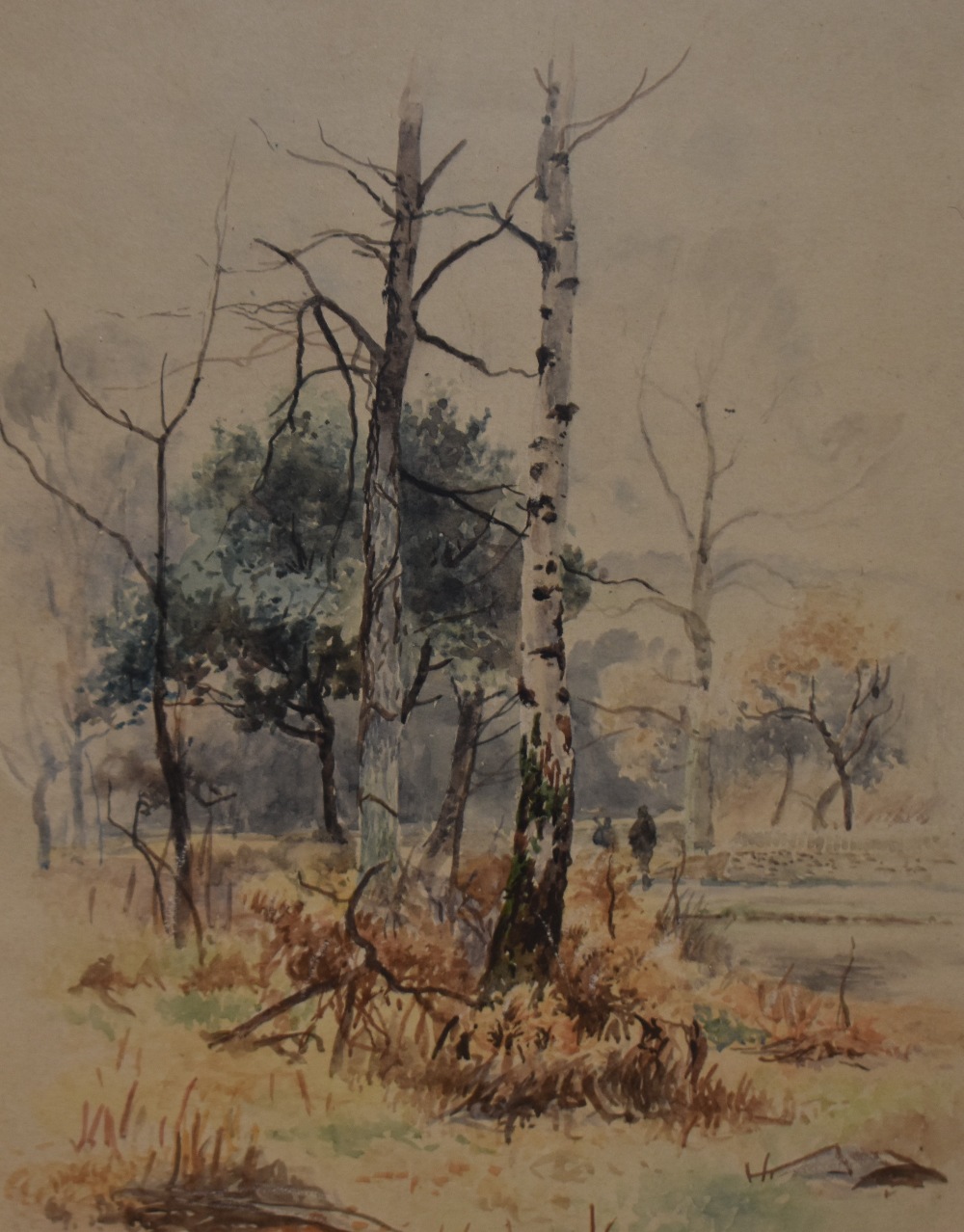 20th Century British School, watercolour and gouache, Four local nature studies including Newby - Image 3 of 5