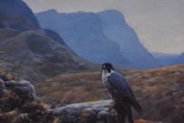 After Julian Friers (b.1956, British), coloured prints, Four wildlife studies, comprising 'Peregrine