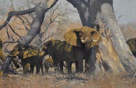 Anthony Gibbs (b.1951, British), acrylic on canvas, 'Baobab', A troop of African elephants