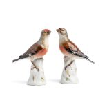 AN OPPOSING PAIR OF MEISSEN FIGURES OF LINNETS, 20TH CENTURY