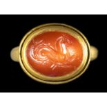 A GREEK CARNELIAN INTAGLIO SET IN A MODERN GOLD RING. SEAHORSE.