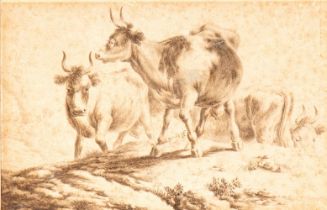 Artista olandese, XVII secolo Landscape with three bulls