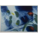 Sophie Ahgajanian (Contemporary) Blue Light Lithograph, 42 x 60cm Signed and