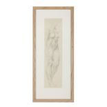 John Luke RUA (1906-1975) Female Nude Figure Study Pencil, 36 x 9.2cm Provenance: The
