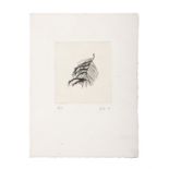 ISTVAN PETO (HUNGARIAN B.1955) Leaf Etching, 25.5 x 18.7cm (sheet size) Signed,