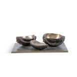 SHANE MCDONELL Chestnut Shells Bronze, in three pieces, 22 x 32 x 8cm each