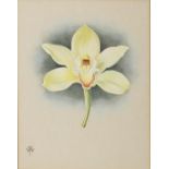JEAN HOLGATE (20TH CENTURY) Three framed studies of Orchids Gouache, Signed; Together with