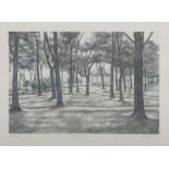 Arthur Byrne (20th Century) Exhibition Park Lithograph, 44 x 60cm Signed and numbered