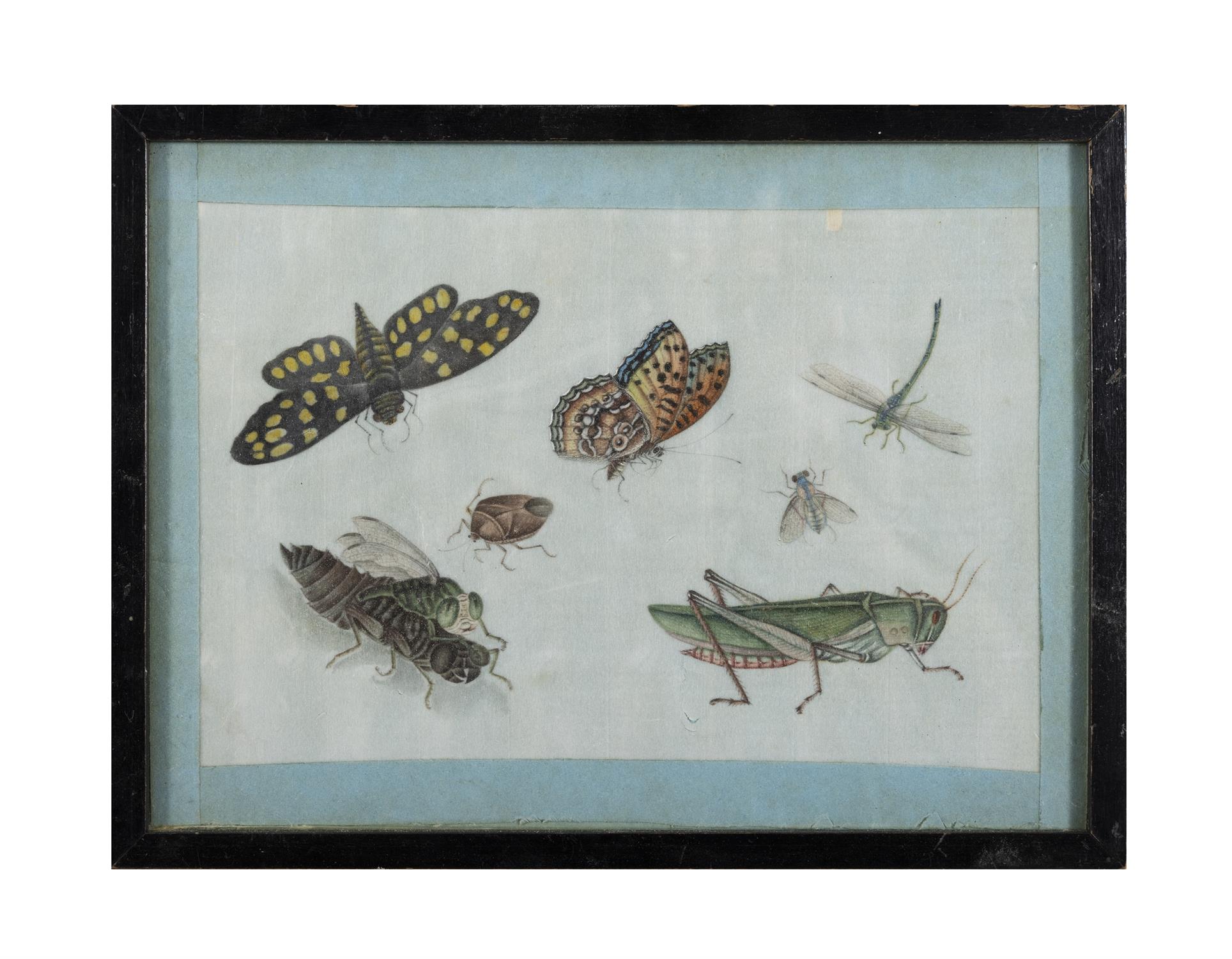 A COLLECTION OF ELEVEN CHINESE FLOWER, BIRD AND INSECT PAINTINGS ON RICE PAPERS 15 x 22cm and - Image 10 of 12