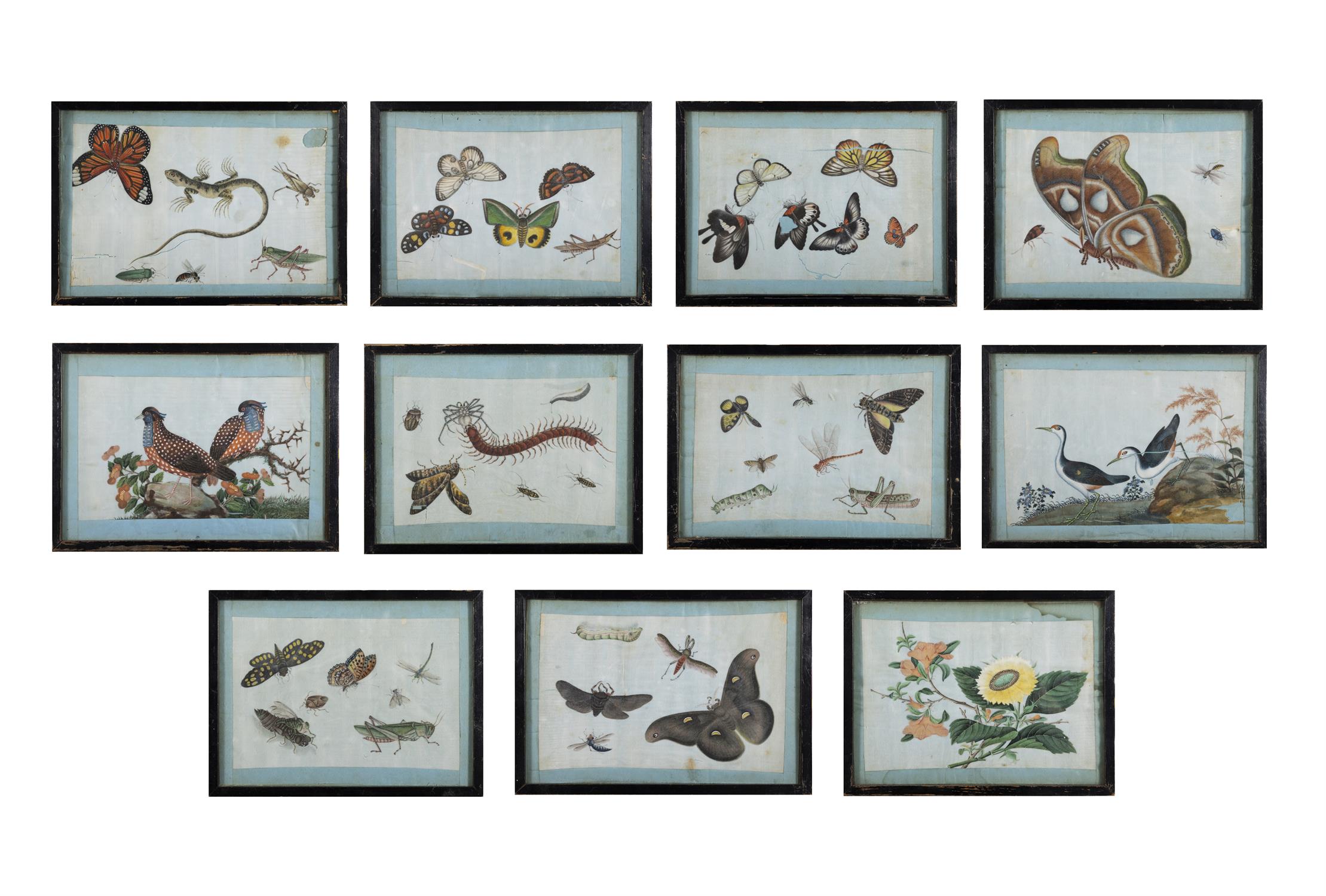 A COLLECTION OF ELEVEN CHINESE FLOWER, BIRD AND INSECT PAINTINGS ON RICE PAPERS 15 x 22cm and