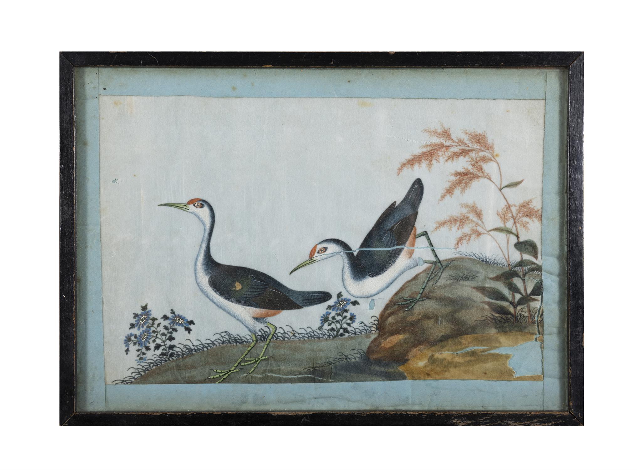 A COLLECTION OF ELEVEN CHINESE FLOWER, BIRD AND INSECT PAINTINGS ON RICE PAPERS 15 x 22cm and - Image 9 of 12