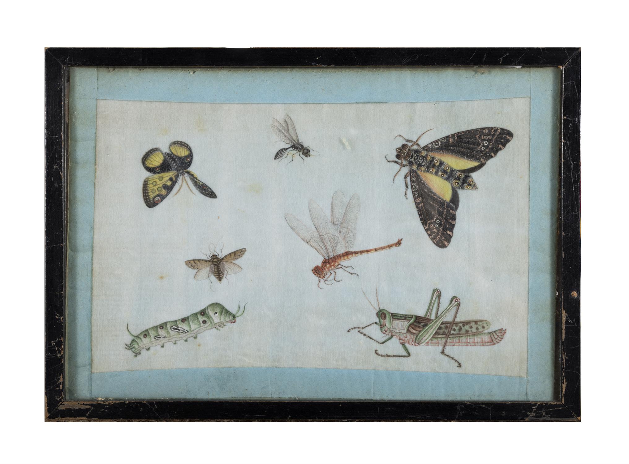 A COLLECTION OF ELEVEN CHINESE FLOWER, BIRD AND INSECT PAINTINGS ON RICE PAPERS 15 x 22cm and - Image 8 of 12