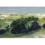 Barrie Cooke HRHA (1931 - 2014) Stones Lake Study Oil on board, 45.5 x 64.5cm (18 x 25¼") Signed