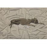 Edward McGuire RHA (1932 - 1986) Dead Cat (1984) Oil on board, 60 x 90cm (23½ x 35½") Signed