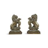 A PAIR OF VICTORIAN BRASS FIRE DOGS IN THE FORM OF RAMPANT LIONS each 34cm high. (2)