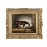FRANCOIS DUYK (BELGIAN, 19TH CENTURY) A Bay Horse with a Terrier in a Loose Box Oil on canvas,